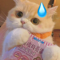 少悔
