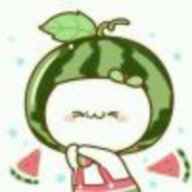 fan11123455