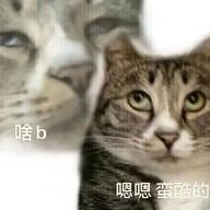 丁真689