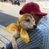 勇敢的飞机