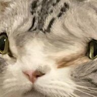 29188