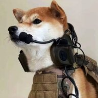 落日