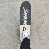 云游的王大仙人