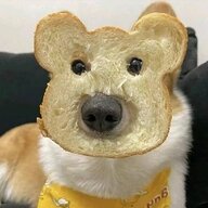 YuMo
